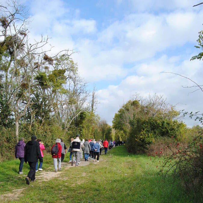 Randonnées La Roche-Posay Cité nature Station verte