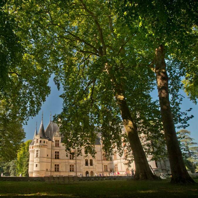 Les Châteaux de la Loire (Azay le Rideau)