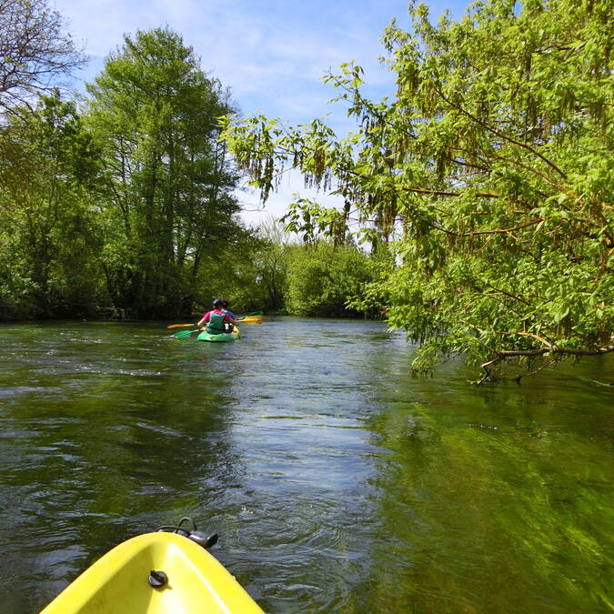 Balade en canoë